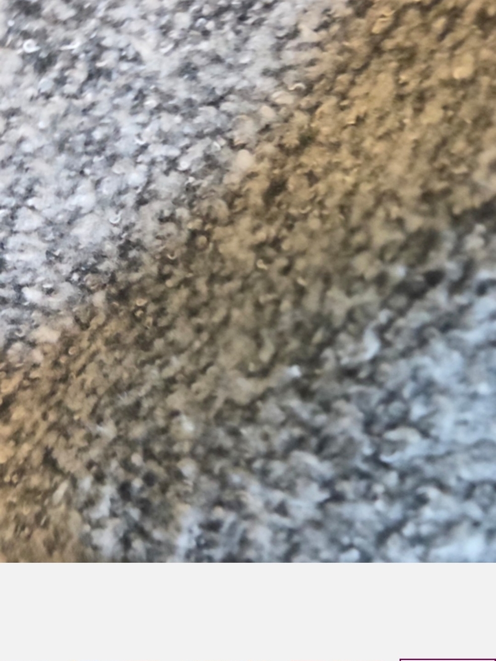 LOFT Heather Gray Textured Jacket - Picture 3 of 6